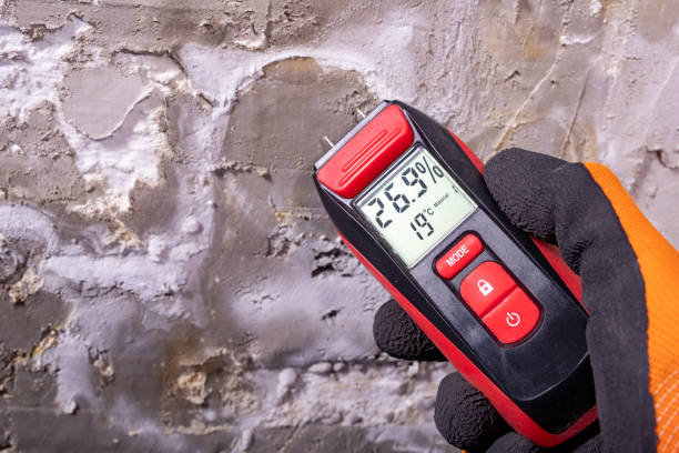 Certified Mold Removal in Melbourne, AR