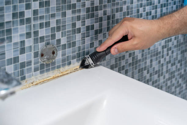 Best Commercial Mold Removal  in Melbourne, AR