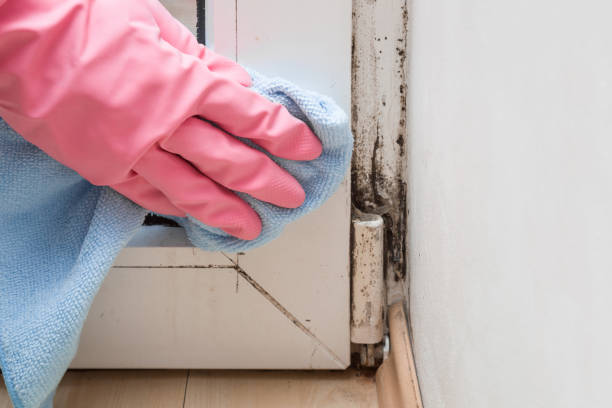 Water Damage Restoration in Melbourne, AR